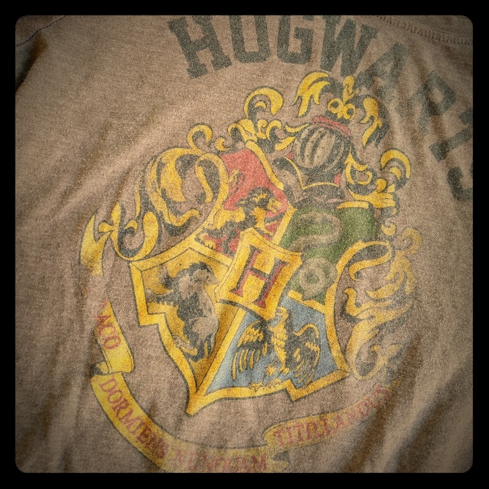 ⚡ 4/$28 Harry Potter™️ Hogwarts Long Sleeve ⚡